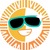Detalles y datos de SunSwap V3 Información sobre SunSwap V3